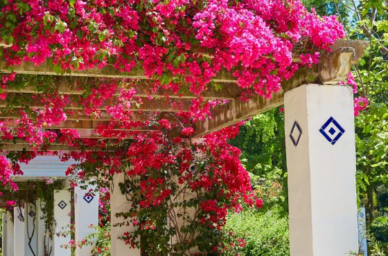 Best Time to Visit Seville: A Season-by-Season Guide